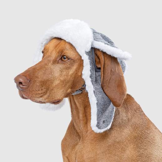 Canada Pooch - Arctic Air Hat (Grey)